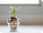 Investment Basics: A Beginner's Guide to Building Wealth 